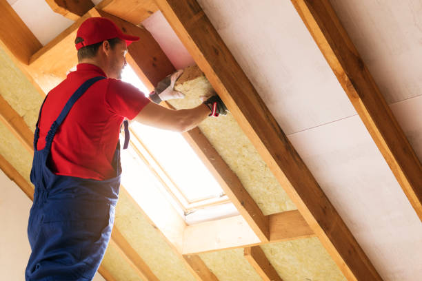 Best Blown-In Insulation  in USA